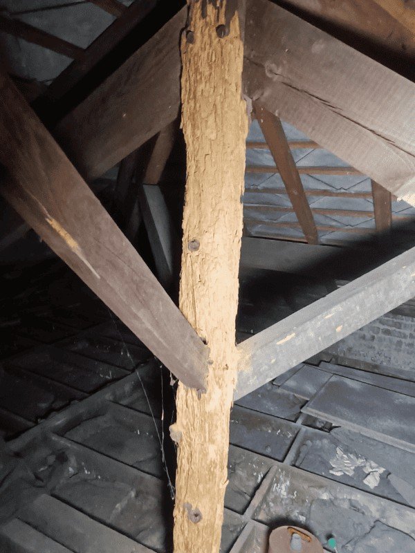 poutre avec capricorne