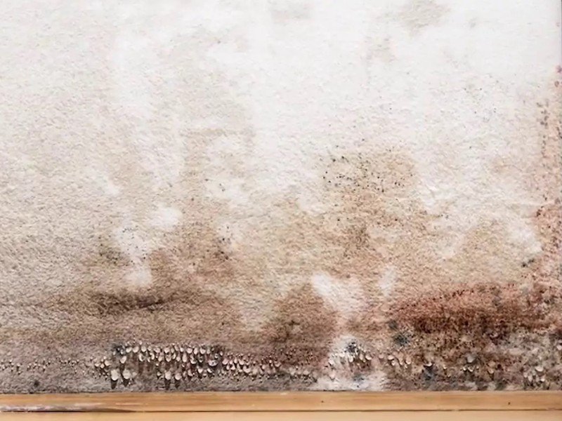 remontées capillaires humidité