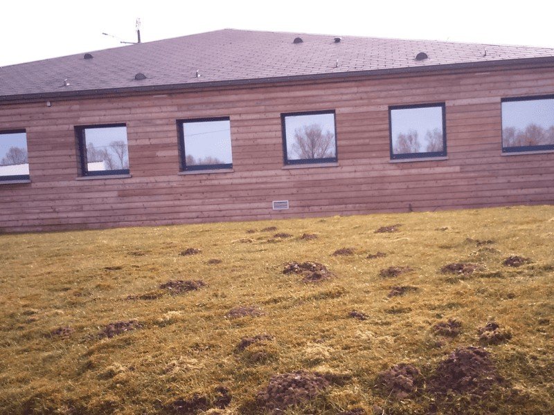 bardage saturateur bois