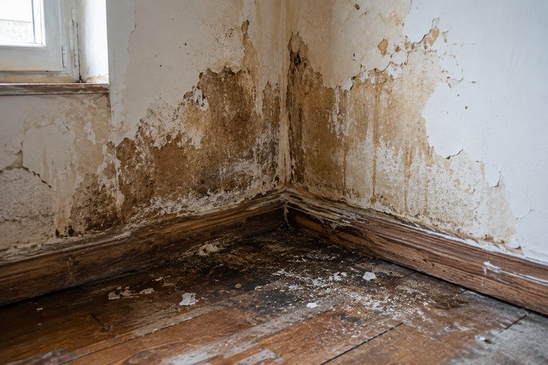 désinfection logement