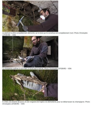 La Voix du Nord 21 Mai 2019 Article mérule 2