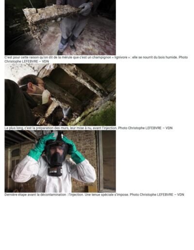 La Voix du Nord 21 Mai 2019 Article mérule 3