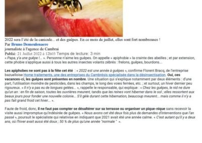 La Voix du Nord 21 Juillet 2022 Article guêpes 1