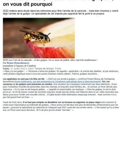 La Voix du Nord 21 Juillet 2022 Article guêpes 1