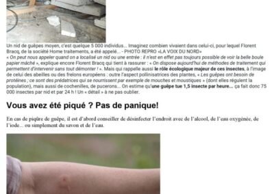 La Voix du Nord 21 Juillet 2022 Article guêpes 2