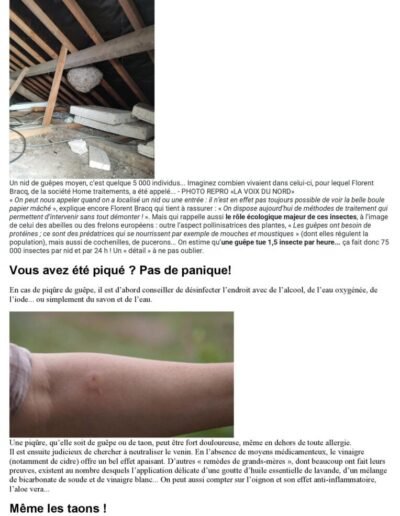 La Voix du Nord 21 Juillet 2022 Article guêpes 2