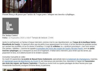 La Voix du Nord 22 Septembre 2020 Article orgues insectes xylophages 1